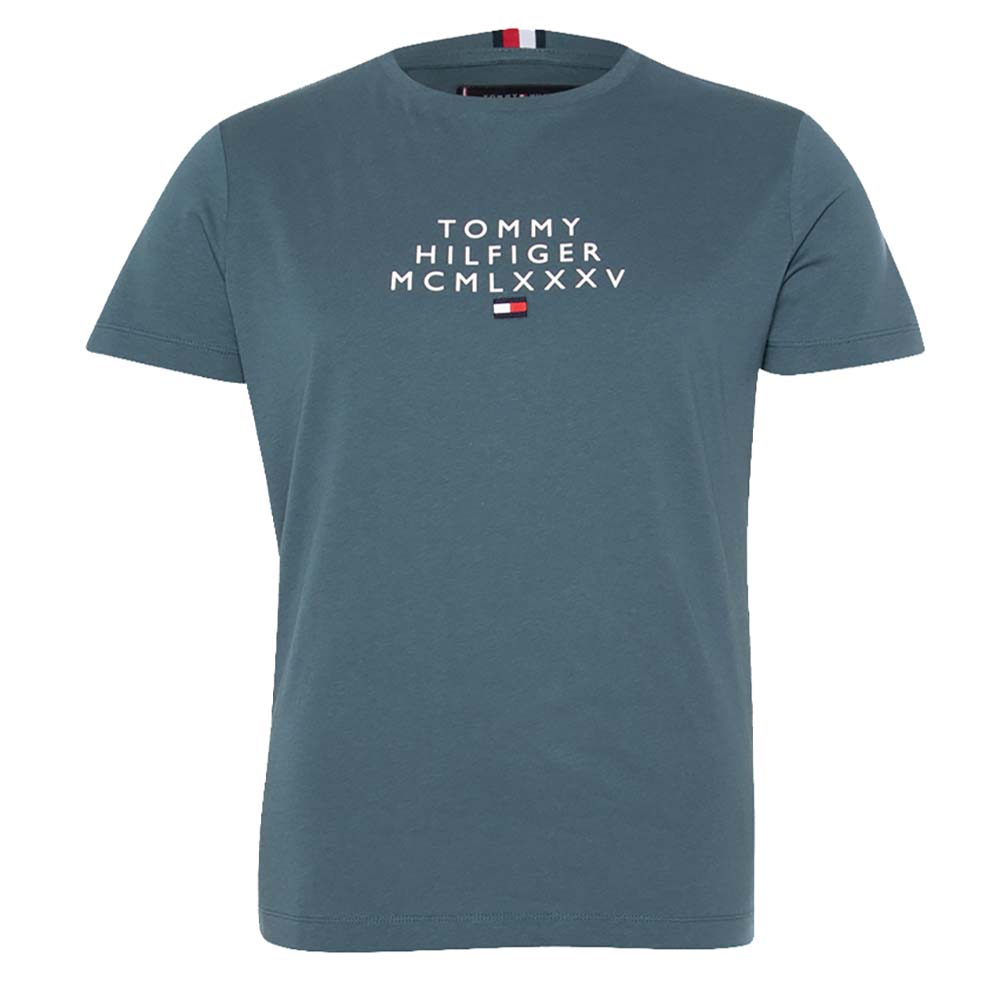 Tommy Hilfiger Small Centre Graphic Tee